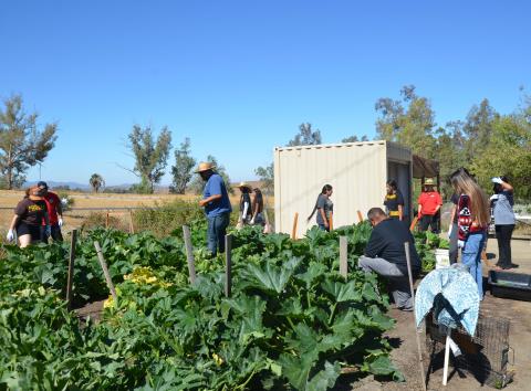 Staff from the Soboba Cultural Resource Department host Summer Youth Academy members at their Cultural Garden on July 30 Staff from the Soboba Cultural Resource Department host Summer Youth Academy members at their Cultural Garden on July 30