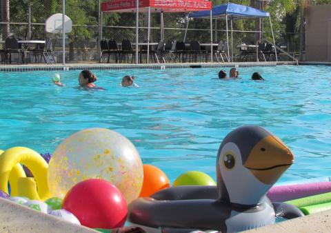Pool play was very popular as about 75 guests gathered at the Soboba Sports Complex pool to enjoy spending time with family and friends over barbecued hot dogs and hamburgers and fun activities Pool play was very popular as about 75 guests gathered at the Soboba Sports Complex pool to enjoy spending time with family and friends over barbecued hot dogs and hamburgers and fun activities