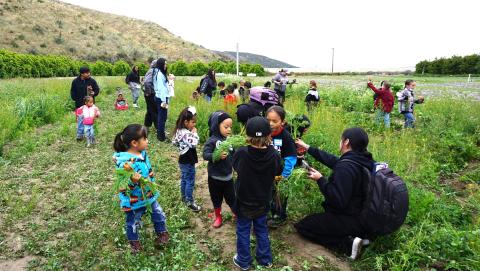 Students pick carrots and other vegetables at the Bautista Creek Ranches during a recent field trip Students pick carrots and other vegetables at the Bautista Creek Ranches during a recent field trip