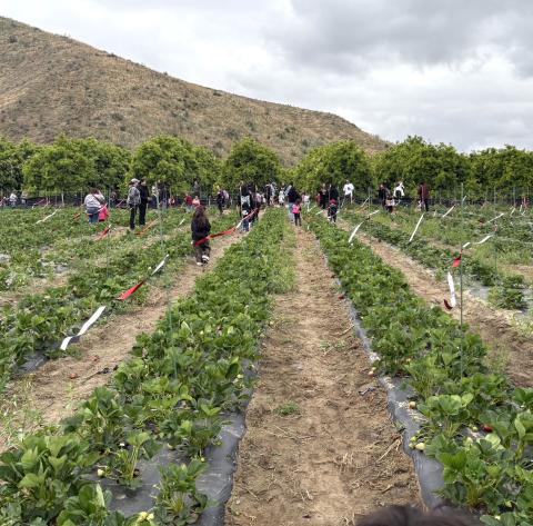 Bautista Creek Ranches is a perfect field trip destination for Soboba Tribal Preschool students, April 16 Bautista Creek Ranches is a perfect field trip destination for Soboba Tribal Preschool students, April 16
