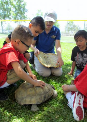 Kids enjoy learning about Sparky the desert tortoise from Kate Silveira of The Living Desert Zoo and Gardens’ Wildlife on Wheels mobile outreach program Kids enjoy learning about Sparky the desert tortoise from Kate Silveira of The Living Desert Zoo and Gardens’ Wildlife on Wheels mobile outreach program