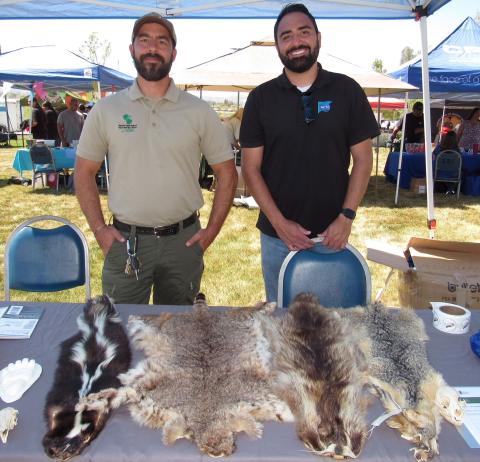 Jonathan Reinig, the Western Riverside County Regional Conservation Authority Reserve Manager, left, and Jonathan Marin with RCTC, show some samples of animal tracks and pelts that are commonly found at protected habitats within Western Riverside County Jonathan Reinig, the Western Riverside County Regional Conservation Authority Reserve Manager, left, and Jonathan Marin with RCTC, show some samples of animal tracks and pelts that are commonly found at protected habitats within Western Riverside County