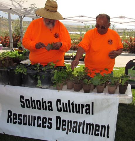 Soboba Cultural Resource Department members share starter plants and fresh produce from the Soboba Community Garden with visitors Soboba Cultural Resource Department members share starter plants and fresh produce from the Soboba Community Garden with visitors