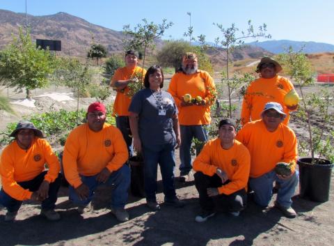 Members of the Tribal Land Resource Management (TLRM) crew with Cultural Programs Facilitator Liz Stephenson, center, at the Soboba Cultural Department Native/Community Garden on Oct. 2. Members of the Tribal Land Resource Management (TLRM) crew with Cultural Programs Facilitator Liz Stephenson, center, at the Soboba Cultural Department Native/Community Garden on Oct. 2.