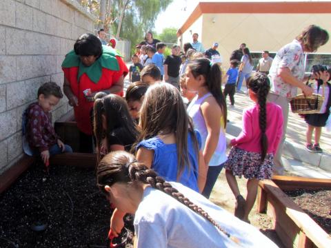 Hosea Jones, at left in strawberry costume, helps youngsters plant seeds in the new raised bed garden at the Soboba Tribal Preschool on April 17 Hosea Jones, at left in strawberry costume, helps youngsters plant seeds in the new raised bed garden at the Soboba Tribal Preschool on April 17