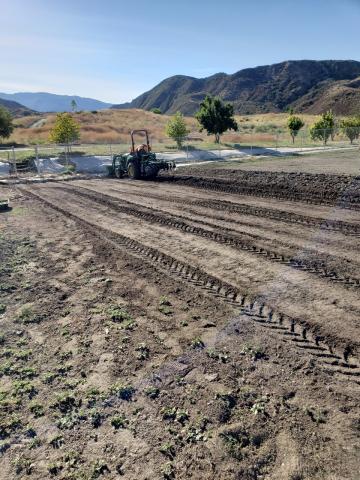 (Photo courtesy of Thurman Howard) The first steps in developing the current Soboba Cultural Department Native/Community Garden began in August, when the land was tilled. (Photo courtesy of Thurman Howard) The first steps in developing the current Soboba Cultural Department Native/Community Garden began in August, when the land was tilled.
