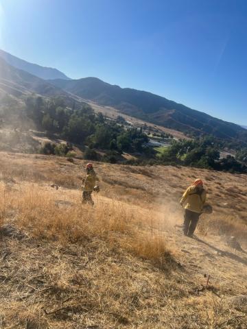 Volunteers clear the overgrowth in the hills above The Oaks football stadium prior to outlining a large N that is lit during the homecoming celebration, Oct. 4 Volunteers clear the overgrowth in the hills above The Oaks football stadium prior to outlining a large N that is lit during the homecoming celebration, Oct. 4