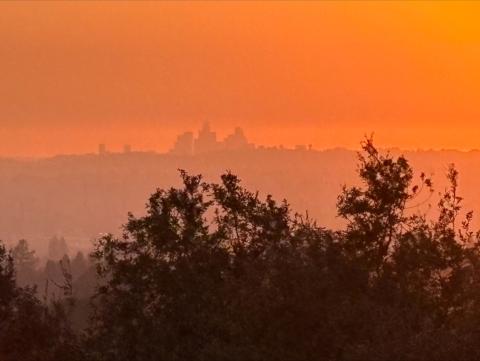 One of thousands of destroyed homes in Sierra Madre where Soboba Fire worked to help put out the Eaton Fire in January One of thousands of destroyed homes in Sierra Madre where Soboba Fire worked to help put out the Eaton Fire in January