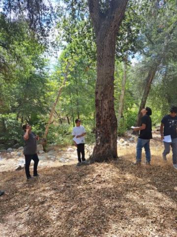 Summer Youth Academy participants conduct a mock tree-tagging exercise in Indian Creek at the Soboba Indian Reservation, July 14