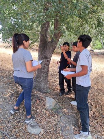 Youths taking part in this year’s Summer Youth Academy learn firsthand about tree tagging on the Soboba Indian Reservation Youths taking part in this year’s Summer Youth Academy learn firsthand about tree tagging on the Soboba Indian Reservation