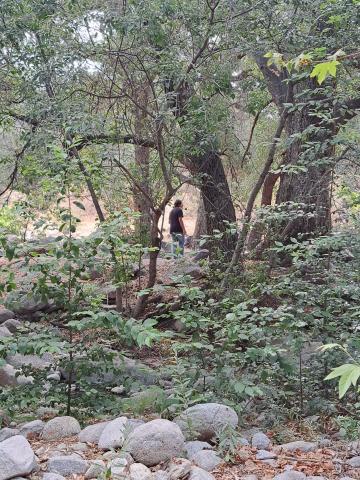 Indian Creek at the Soboba Indian Reservation offered the perfect setting for a Summer Youth Academy program presented by the Soboba Tribal Environmental Department, July 14 Indian Creek at the Soboba Indian Reservation offered the perfect setting for a Summer Youth Academy program presented by the Soboba Tribal Environmental Department, July 14