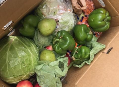 Contents of the produce boxes vary with seasonal fruits and vegetables from local farms. Soboba was designated as a distribution center during the month of June Contents of the produce boxes vary with seasonal fruits and vegetables from local farms. Soboba was designated as a distribution center during the month of June