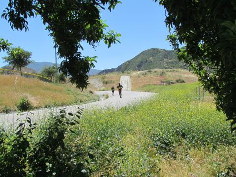 Runners head from the hills toward the finish line at the sixth annual Soboba Trail Race on May 21 at The Oaks retreat on the Soboba Band of Luiseño Indian Reservation in San Jacinto Runners head from the hills toward the finish line at the sixth annual Soboba Trail Race on May 21 at The Oaks retreat on the Soboba Band of Luiseño Indian Reservation in San Jacinto