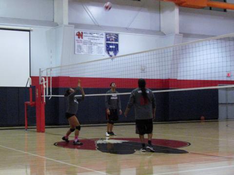 Members of the Volley Brawlers team warm up before their match on Dec. 6 Members of the Volley Brawlers team warm up before their match on Dec. 6
